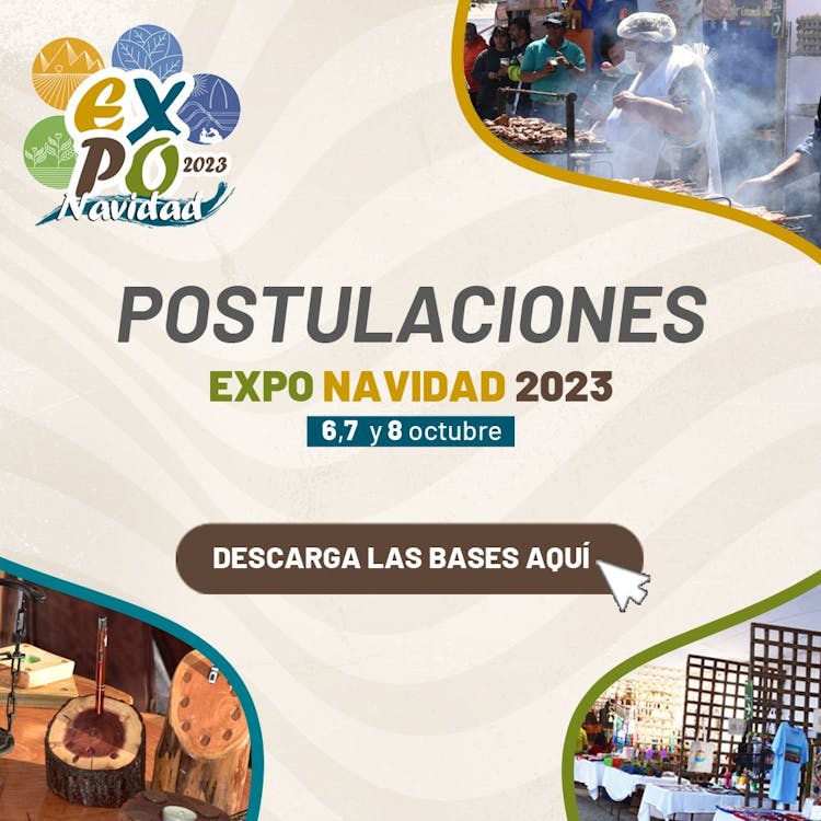 Postulaciones Expo Navidad 2023